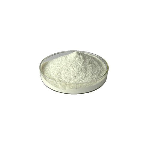 China food grade medical grade Chitosan powder Factory